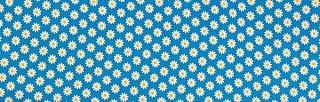 blueday daisy