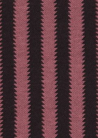 stripes of revolution