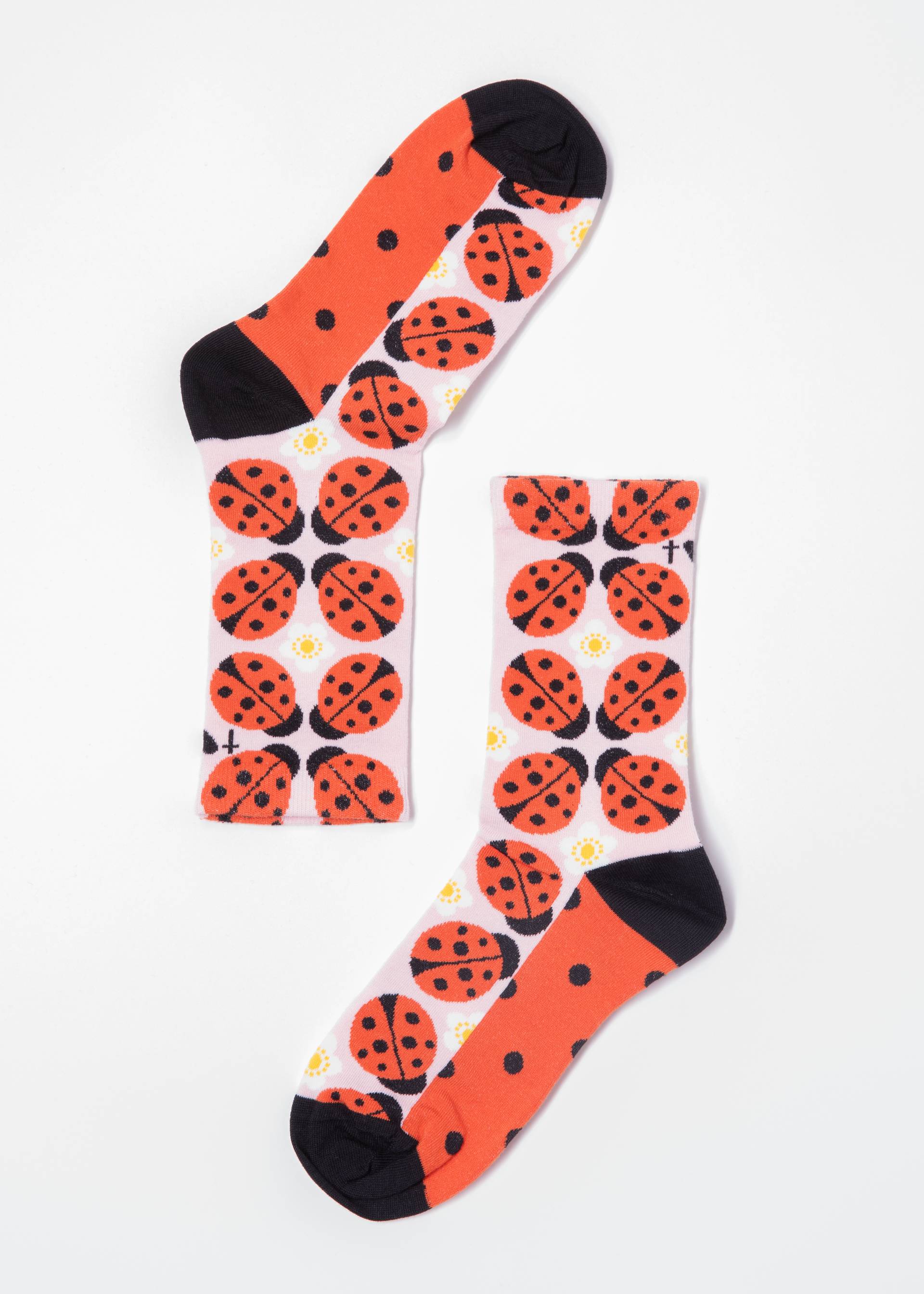 Cotton socks Sensational Steps, ladybug dream socks, Socks, Red